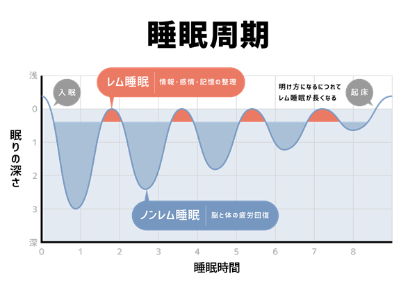 ナルコレプシーを説明するイメージ図